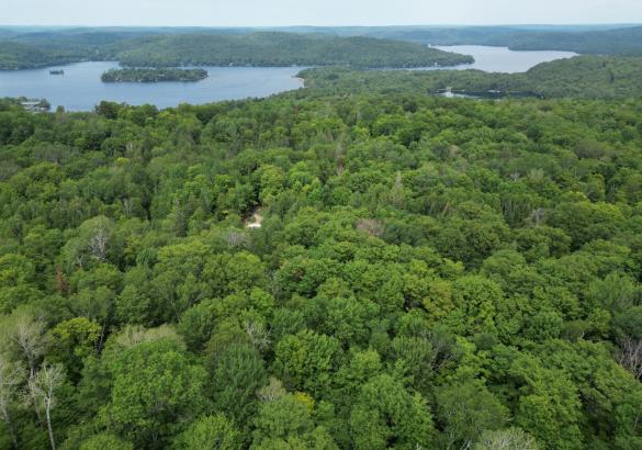 Aerial View of a vacant treed lot