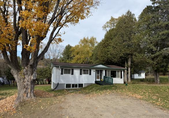 White bungalow with a large tree and gravel laneway