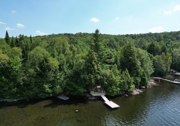 Aerial view of a treed lot with a dock in the calm water