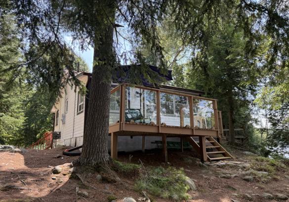 Cottage in the trees with a glass railing