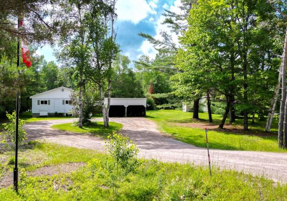 White house hidden behind trees with a gravel laneway with a turning circle around trees.