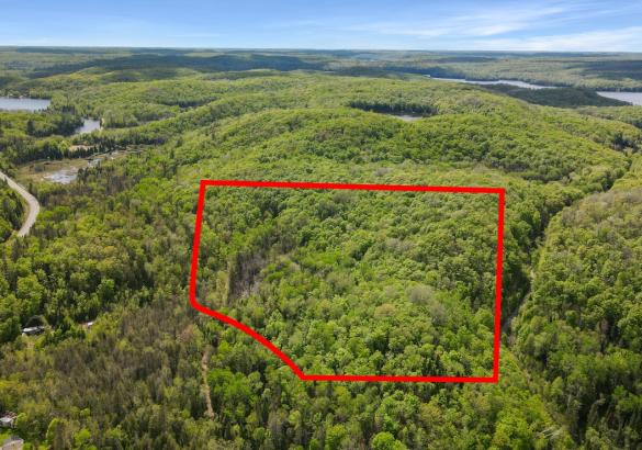 Aerial view of a treed lot with property lines marked in red