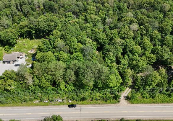 Aerial view of a treed building lot