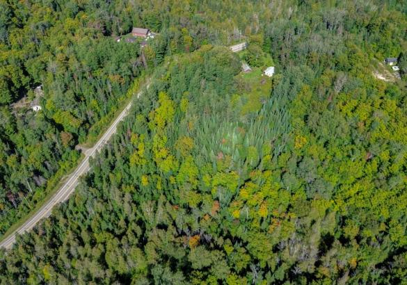 Aerial view of a treed lot 