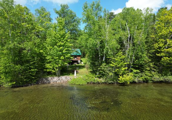 cottage from the lake surrounded by trees. Grass leading up to the brown cottage with a green roof. 