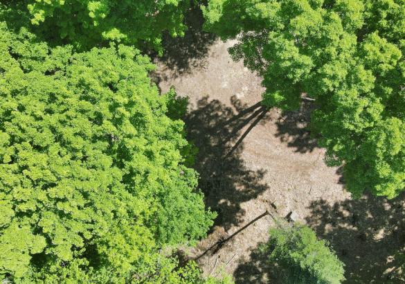 Aerial view of a cleared building lot surrounded by trees.