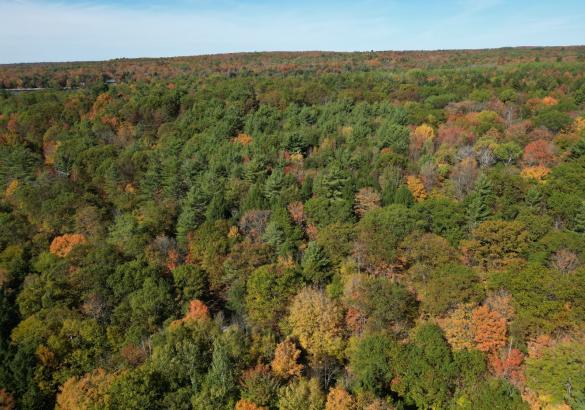 treed aerial view of a lot