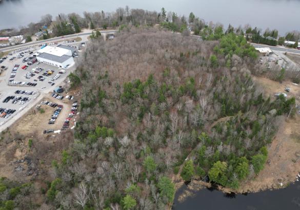 Aerial view of a treed lot with the lake in the background