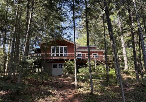 cottage with deck and white door under the deck. surrounded by trees