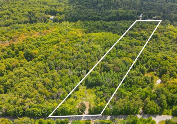 Aerial view of a treed lot