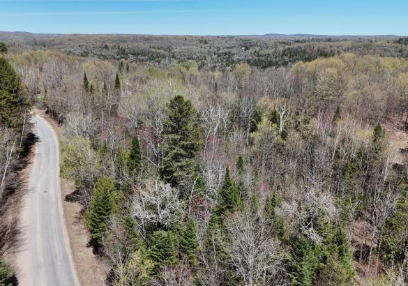 Aerial view of a treed lot with roadway