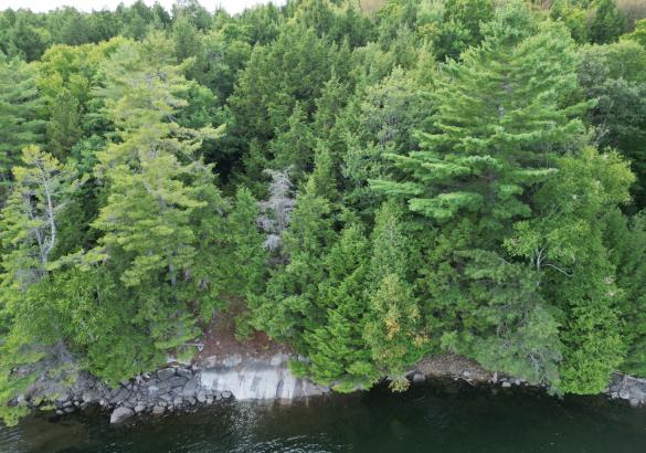 Aerial view of a vacant waterfront lot with trees