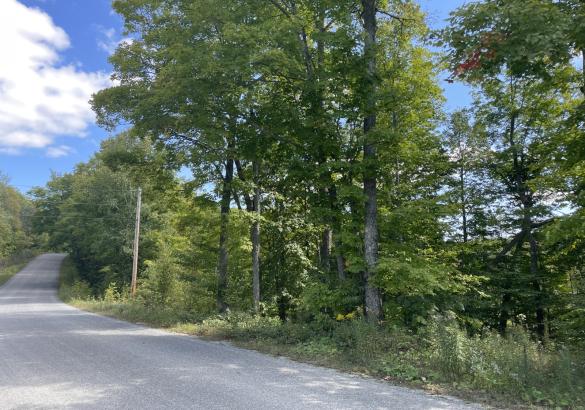 Country road curve with forest on the right, hydro pole visible and blue sky and cloud. 