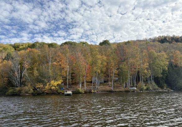view of a cabin in the woods from the lake.