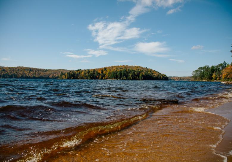 Lakes of the Haliburton Highlands > Troy Austen Real Estate Team