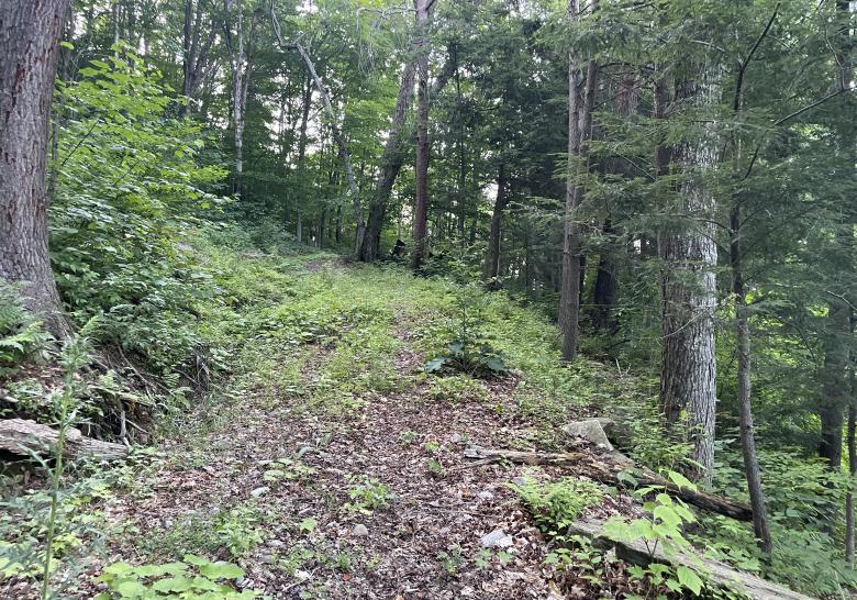 10acre building lot on Blue Heron Trail, Little Redstone Lake listed