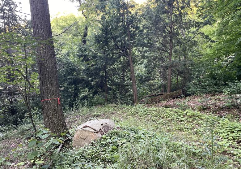 10acre building lot on Blue Heron Trail, Little Redstone Lake listed