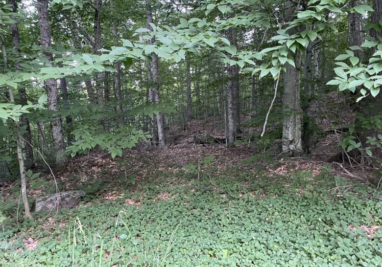 10acre building lot on Blue Heron Trail, Little Redstone Lake listed